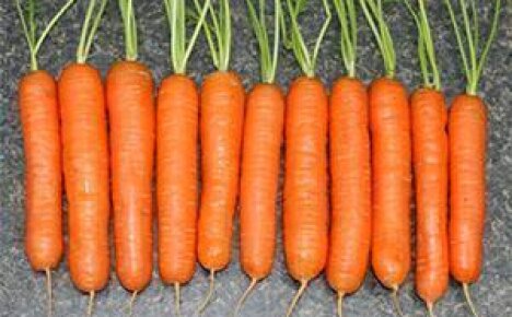 Как посадить морковь, чтобы она быстро взошла