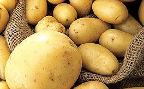 Огород без хлопот: посадка картофеля под солому