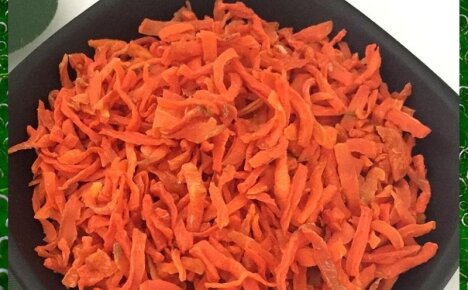 Доступные способы сушки моркови на зиму в домашних условиях