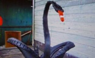 Декоративный лебедь из покрышки – это просто (видео)