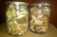 Внимание — помутнели грибы маринованные, что с ними делать и можно ли есть