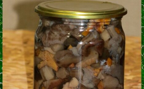 Рецепты маринования грибов мышата – быстрая и вкусная заготовка на зиму