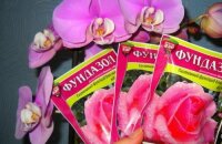 Как применять Фундазол для орхидей: тонкости лечения фунгицидом