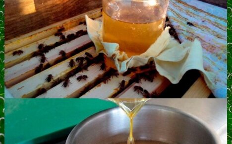 Правила приготовления и использования медовой сыты для здоровья пчелиной семьи