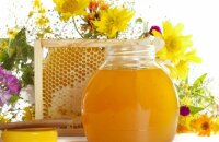 Ароматный и уникальный цветочный мед — полезные свойства и противопоказания