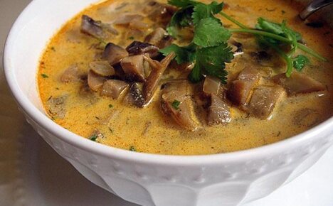 Лучшие рецепты замечательного грибного супа из замороженных грибов