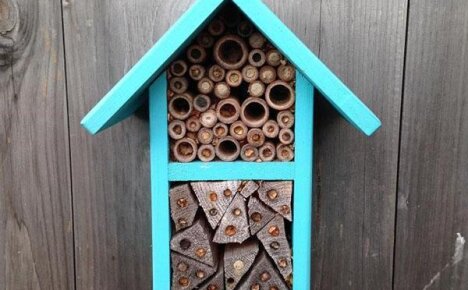 Строим дом для одиночных пчел