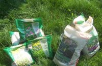 Как выбрать газонную смесь: рекомендации и характеристики