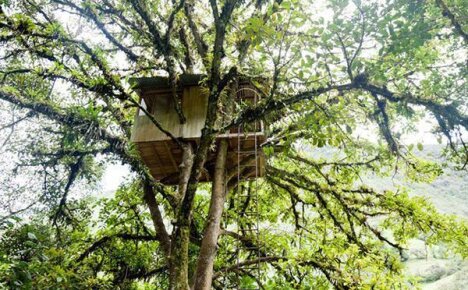 Уютный уголок для отдыха — домик на дереве