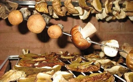 Учимся правильного готовить сушеные грибы