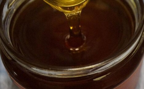Зачем нужно знать о полезных свойствах и противопоказаниях боярышникового меда