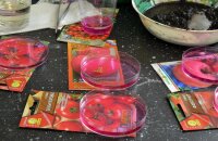 Как обрабатывать семена помидоров перед посевом — практические рекомендации