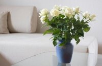 Что сделать, чтобы розы в вазе стояли дольше?