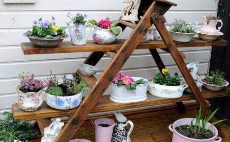 Лестница для цветов украсит ваш дом и сад
