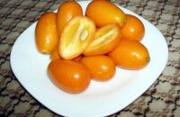 Может ли кумкват спровоцировать цистит или так ли полезен японский апельсин
