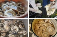 Как чистить грузди для засолки — особенности обработки для белых и черных грибов