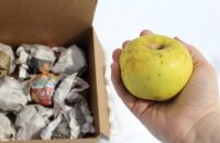 Делаем витаминные запасы — как хранить яблоки на зиму, чтобы они не пропадали
