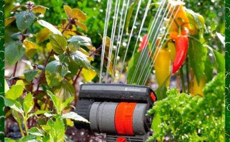 Как выбрать дождеватели для полива огорода – полезные советы и рекомендации