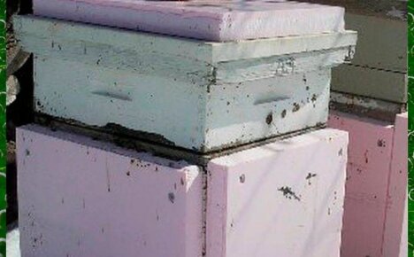 Подготовка пчел к зиме — необходимый этап содержания ульев