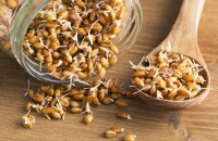 Хотите похудеть — употребляйте проростки пшеницы, польза и вред продукта