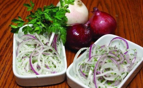 Рецепт лукового салата с добавлением разных ингредиентов