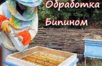 Обработка пчел Бипином осенью — дозировка и сроки проведения процедуры