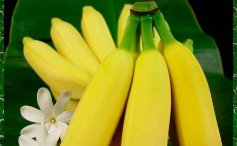 А вы знаете когда лучше есть бананы, чтобы не навредить своему здоровью