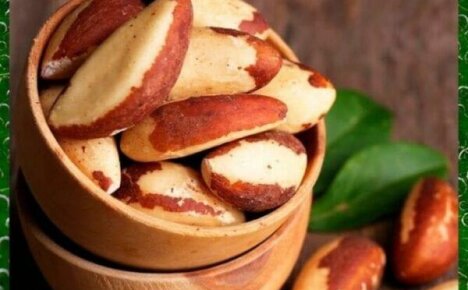 Важно знать, чем полезен бразильский орех для организма и как правильно использовать его в своем рационе