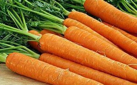 Морковь — средство от ста болезней