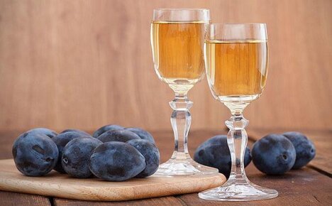 Как сделать вкусное сливовое вино: этапы, описание, фото