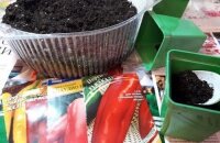 Выращиваем рассаду перца: как правильно сажать семена