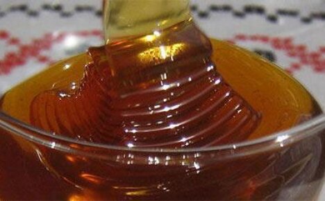 Мед из кориандра – сладость и опасность в пряном вкусе Востока