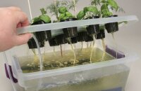 Гидропонная установка для выращивания зелени — как сделать своими руками