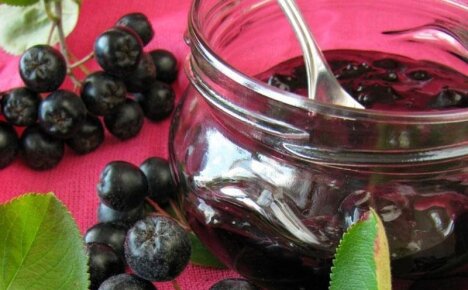Рецепты черноплодной рябины на все случаи жизни