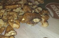 Что делать, если в грецких орехах моль