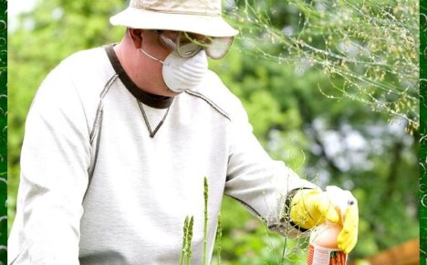 Что такое пестициды и какова их классификация