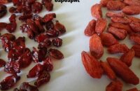 Барбарис или годжи: как не ошибиться при выборе ягод