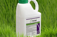 Гербицид Аксиал — эффективное средство против злаковых сорняков