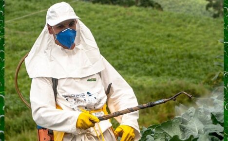 Опасное влияние пестицидов на организм человека и способы решения проблемы