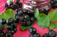 Ароматная и полезная черная рябина — рецепты на зиму для здоровья и не только