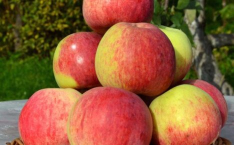 Морозоустойчивая яблоня Беркутовское – отличный выбор для дачного сада