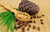 Польза кедровых орехов для здоровья — чем ценны вкусные семена