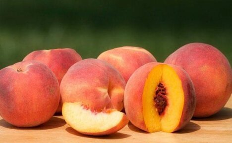 Польза и вред персиков для здоровья