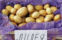 Каким вкусовыми качествами обладает сорт картофеля Лилея и когда он созревает