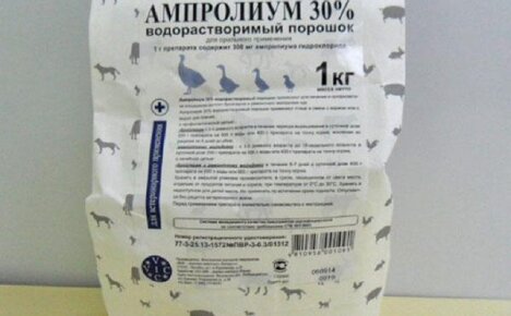 Ампролиум: инструкция по применению препарата для лечения домашней птицы и кроликов