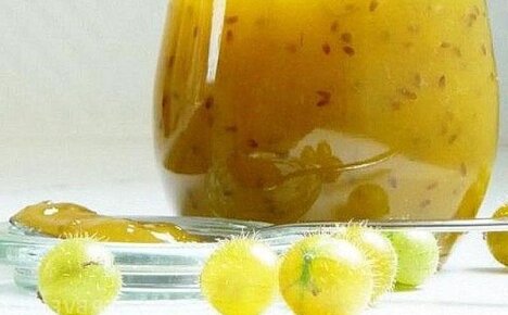 Секреты приготовления вкусного желе из ягод крыжовника с апельсинами