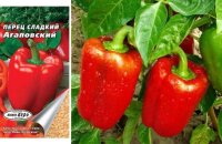 Крупноплодный и урожайный сладкий перец Агаповский — описание сорта и преимущества