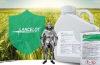 Подготовит поле к посеву и защитит злаки и кукурузу от сорняков гербицид Ланцелот, применение и особенности действия препарата