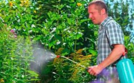 Прополка, применение гербицидов и мульчирование – современные способы борьбы с сорняками на огороде