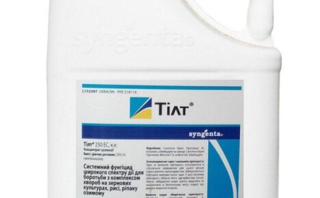 Фунгицидный препарат Тилт против опасных вирусных инфекций на вашей грядке